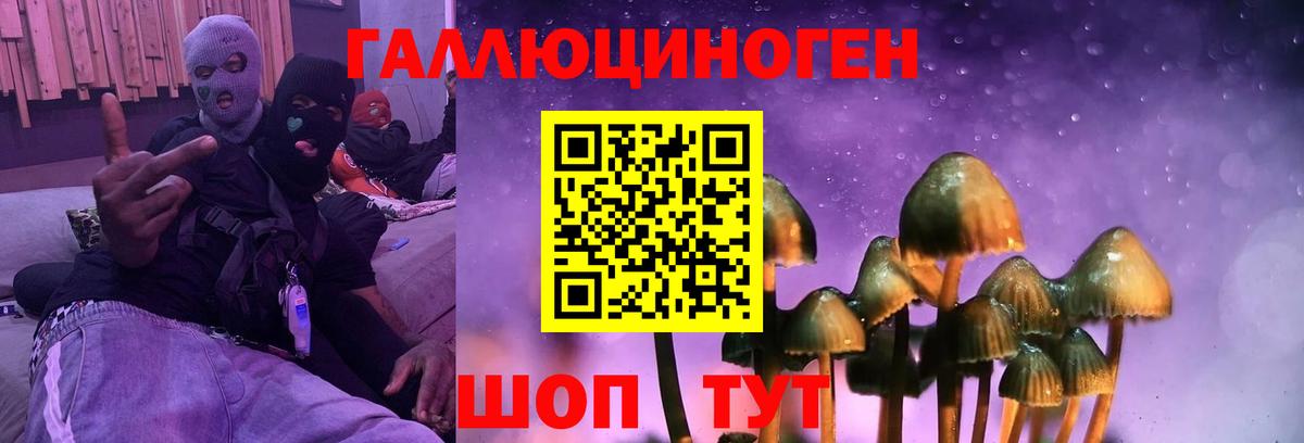 Галлюциногенные грибы Psilocybe  Вход с VPN  купить  цена  Псилоцибиновые грибы Psilocybe  Добрянка 